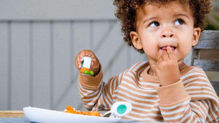 toddler boy sitting at a meal table eating with a doddl fork and spoon on a doddl plate