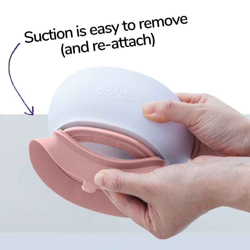 doddl 2-in-1 suction bowl