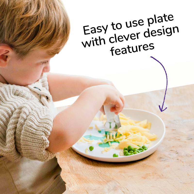 doddl baby to toddler feeding set