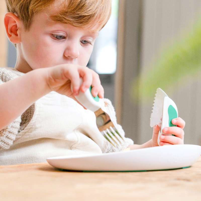 doddl plate & 2-in-1 suction bowl bundle
