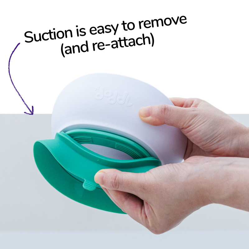 doddl 2-in-1 suction bowl