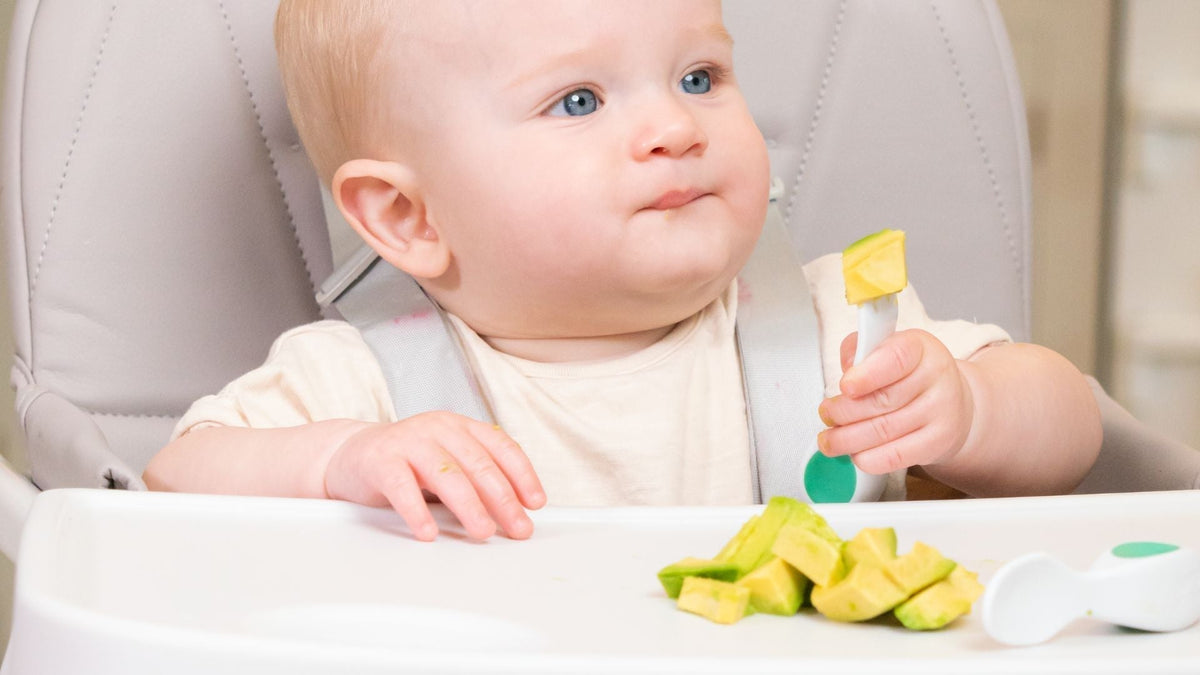 Happy baby sitting in a highchair with avocado on a doddl toddler fork in his hand and on the highchair tray in front of him