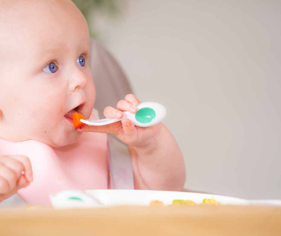 Navigating Baby's Food Journey: Milk to Solids - doddl