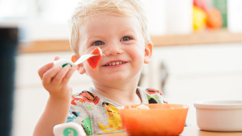 Happy toddler boy using doddl toddler cutlery holds a piece of fruit on his toddler fork