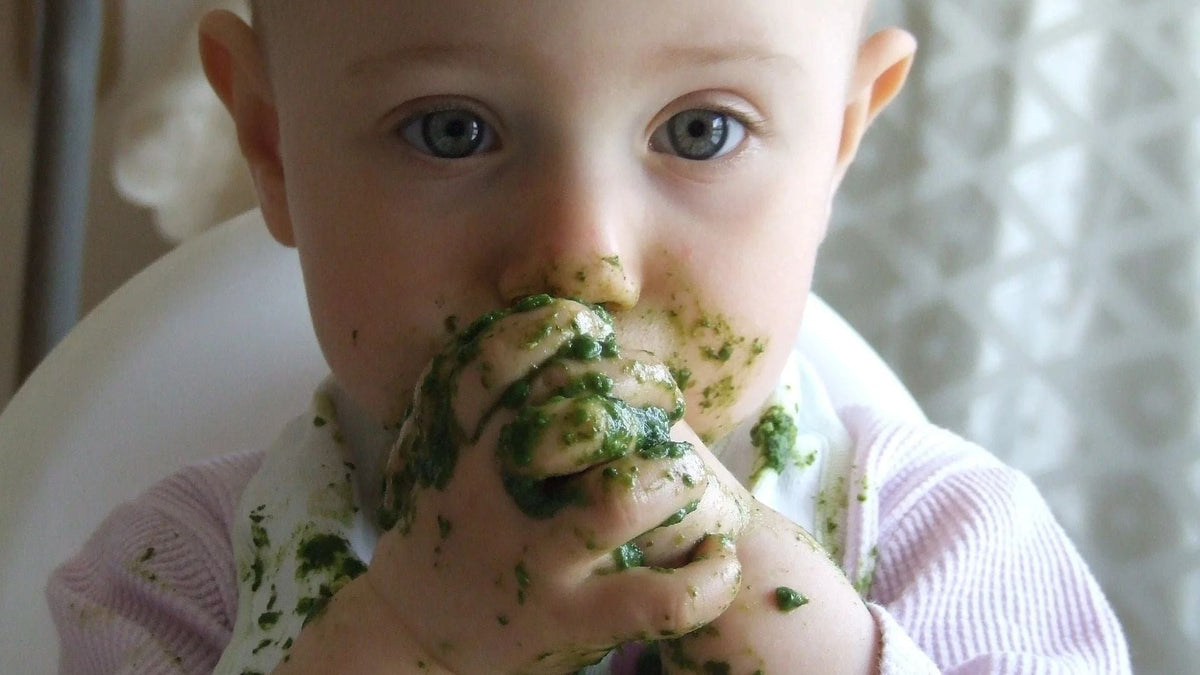 Baby in a highchair with green food mashed between their fingers and all over their face