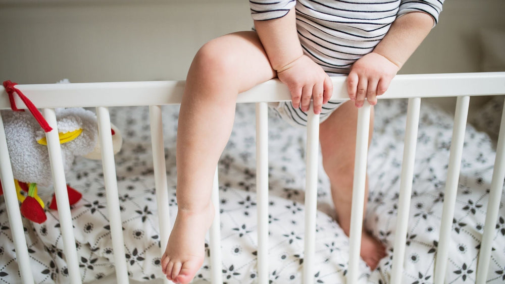Insights into toddler sleepwalking behaviour