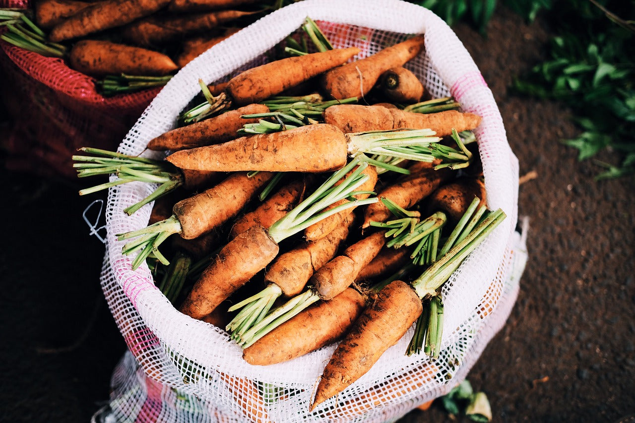 Planting vegetables with children - a basket full of carrots|