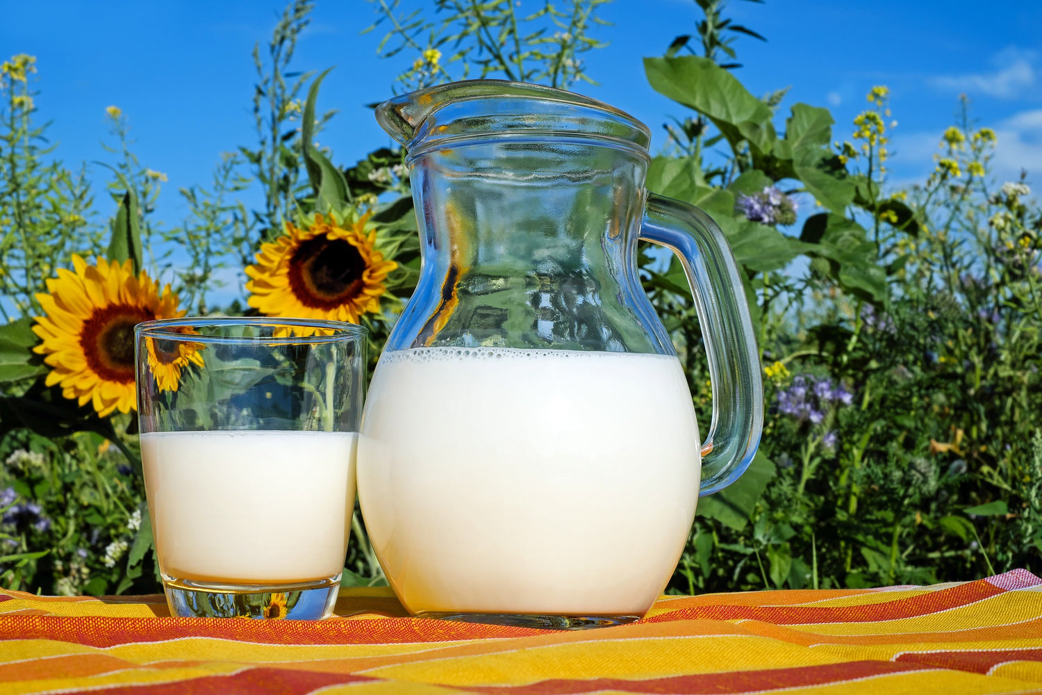 cow's milk protein allergy - jug of milk against a blue sunny sky