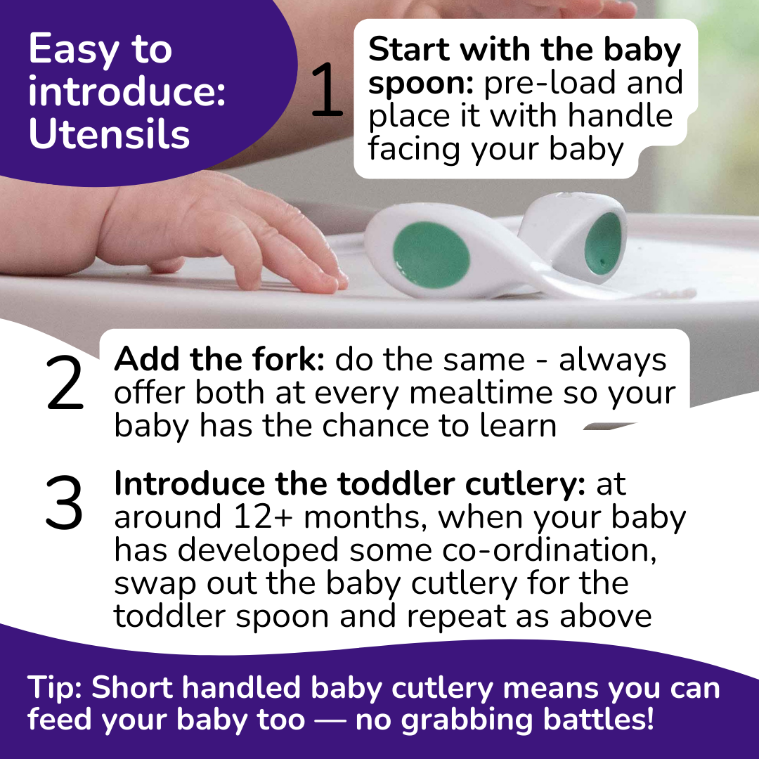 doddl baby to toddler feeding set bundle
