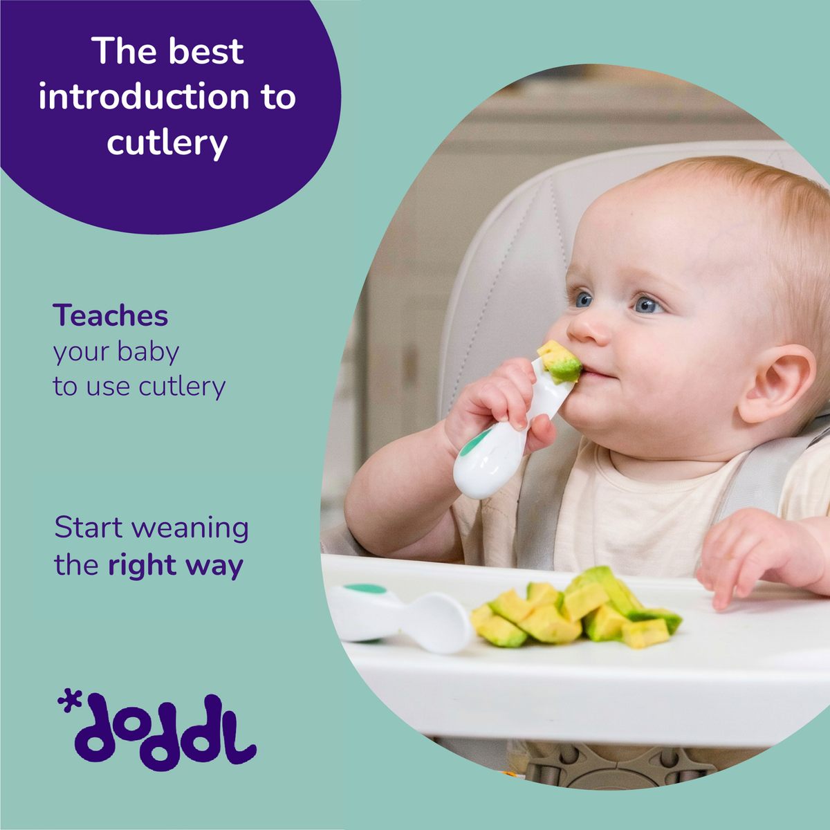 doddl just starting out cutlery set & case