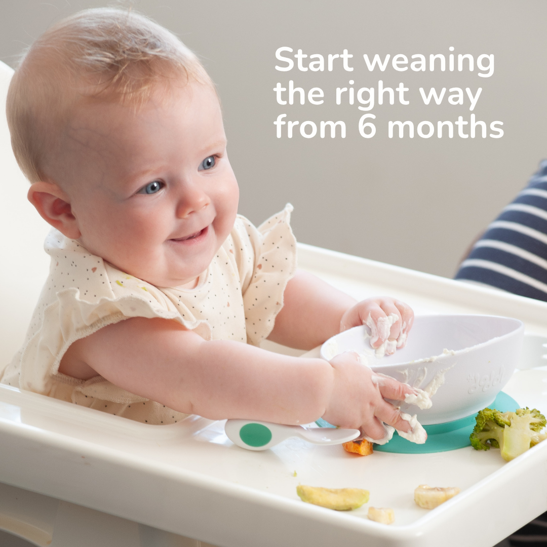 doddl baby to toddler mealtime development kit