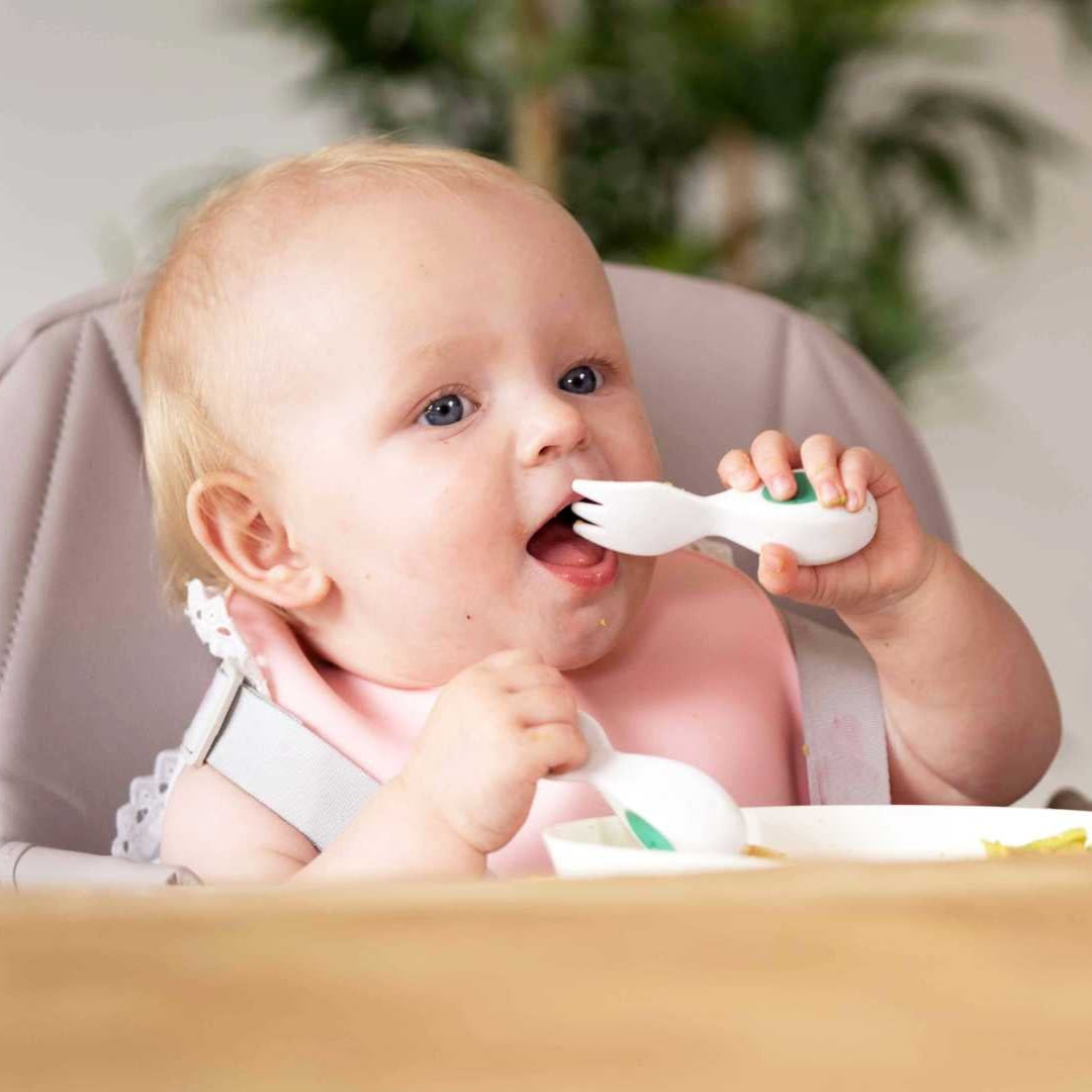 doddl baby to toddler feeding set