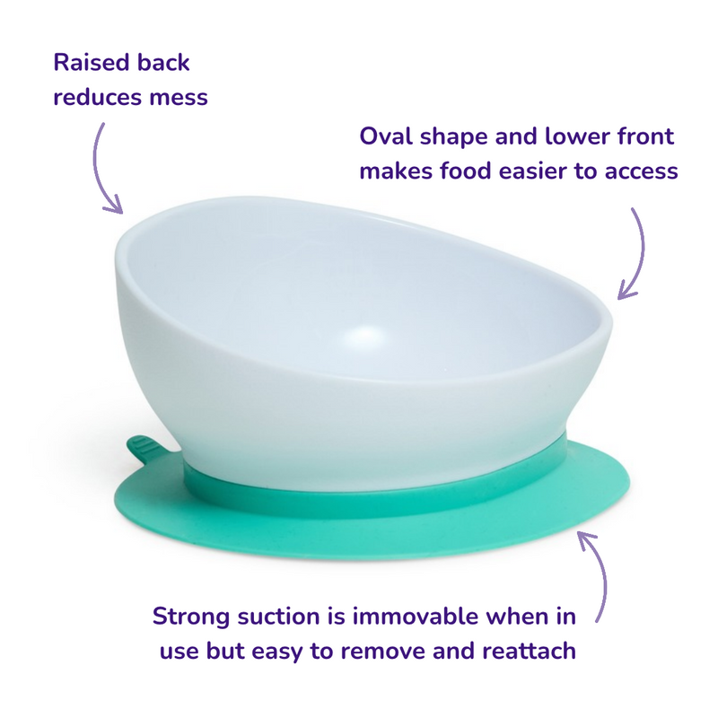 doddl 2-in-1 suction bowl