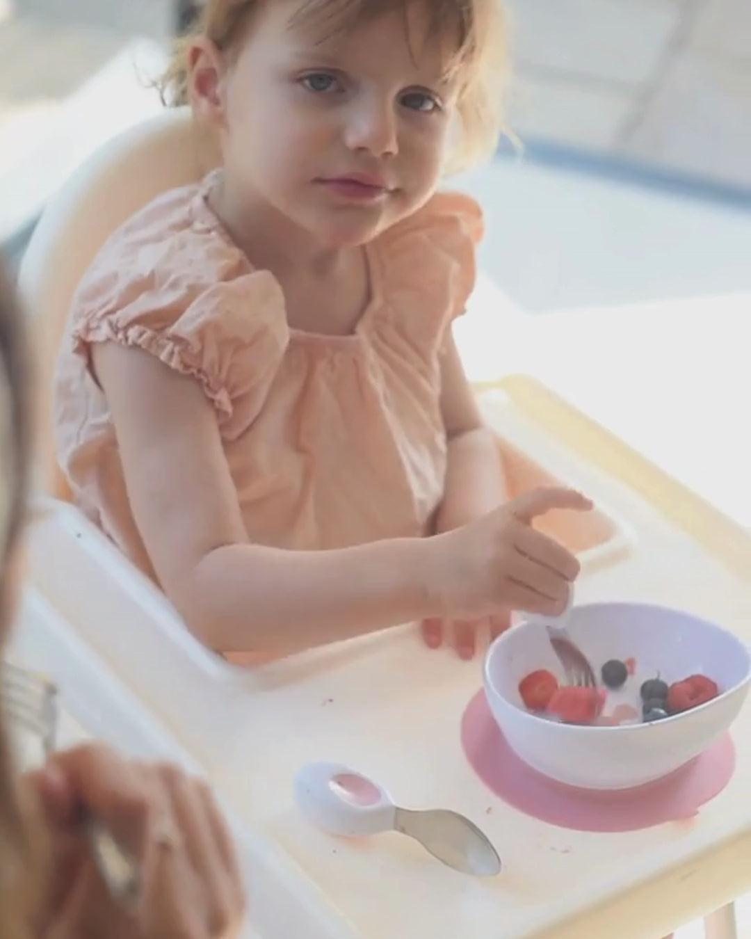 doddl just starting out 2-in-1 suction bowl
