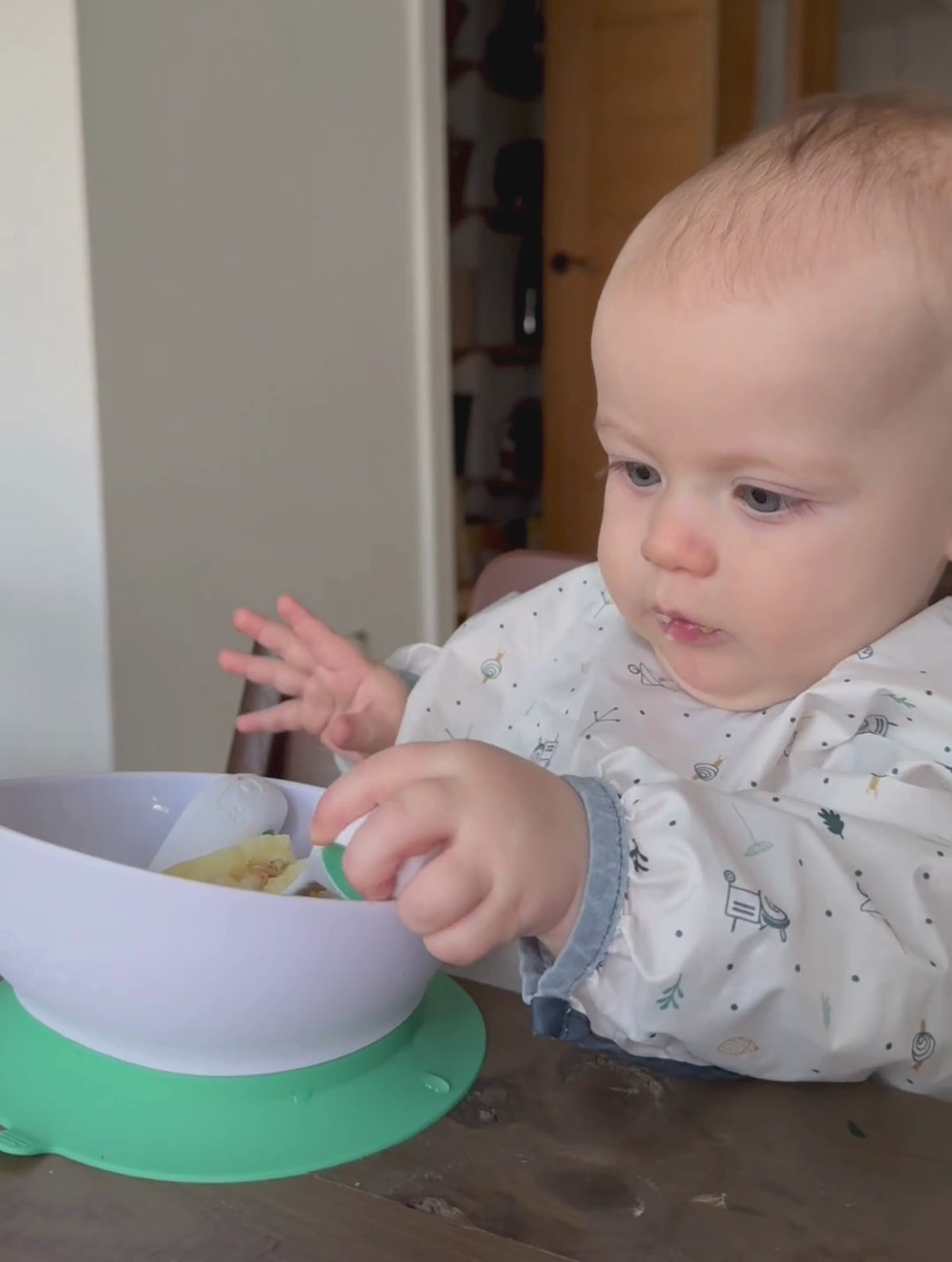 doddl stage 1 bundle — where mealtimes begin
