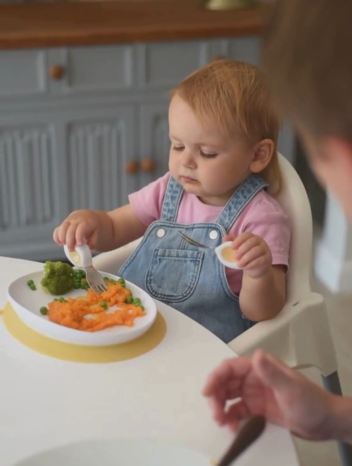 doddl 2-in-1 suction plate